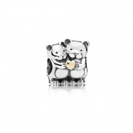 Hug bear Silver Charms DOCY9996